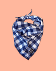 dog bandanas gingham pattern floofy pooch