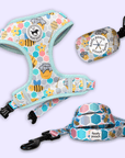 Harness Set - Bee Amazing