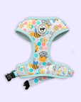 Bee Amazing dog harness - Front View - Floofy Pooch - Comfortable and Secure Fit