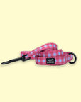 Leash - Berry Pooch