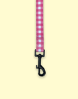 Leash - Berry Pooch