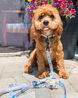 Leash - Bee Amazing