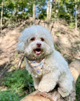 Dog Bandana Canada Cute