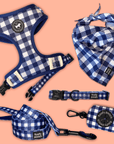 Dog accessories canada blue gingham pattern dog leash dog collar canada