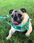 Leash - Ladybug Forest
