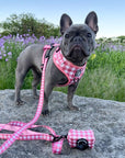 Harness - Berry Pooch