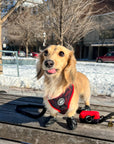 Poop Bag Holder - Sporty Pooch