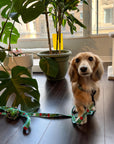 Leash - Ladybug Forest