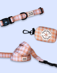 Collar Set - Peachy Pooch