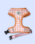 Cute Dog Harness Canada