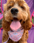 Bandana - Pretty in Daisy