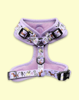 Floofy Pooch Dog Doodlez Harness - Back View - Easy On and Off with Adjustable Straps