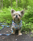 Harness Set - Bee Amazing