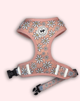 Dog Harness Pretty in Daisy designed in Canada pink