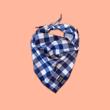 Load image into Gallery viewer, dog bandanas gingham pattern floofy pooch
