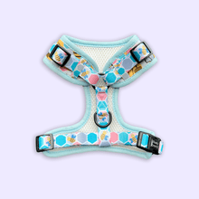 Load image into Gallery viewer, Dog Harness Canada Cute Harness Canada for your puppy
