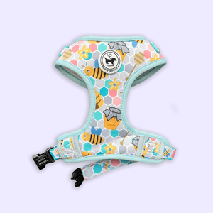 Dog Harness Canada small puppy harness cute harness