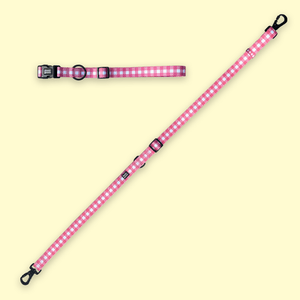 Hands-Free Leash - Berry Pooch