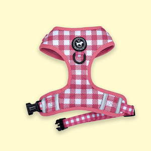 Harness - Berry Pooch