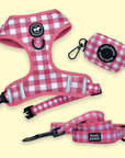 Harness Set - Berry Pooch