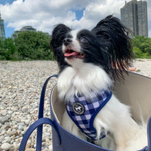 Load image into Gallery viewer, Harness - Classy Pooch
