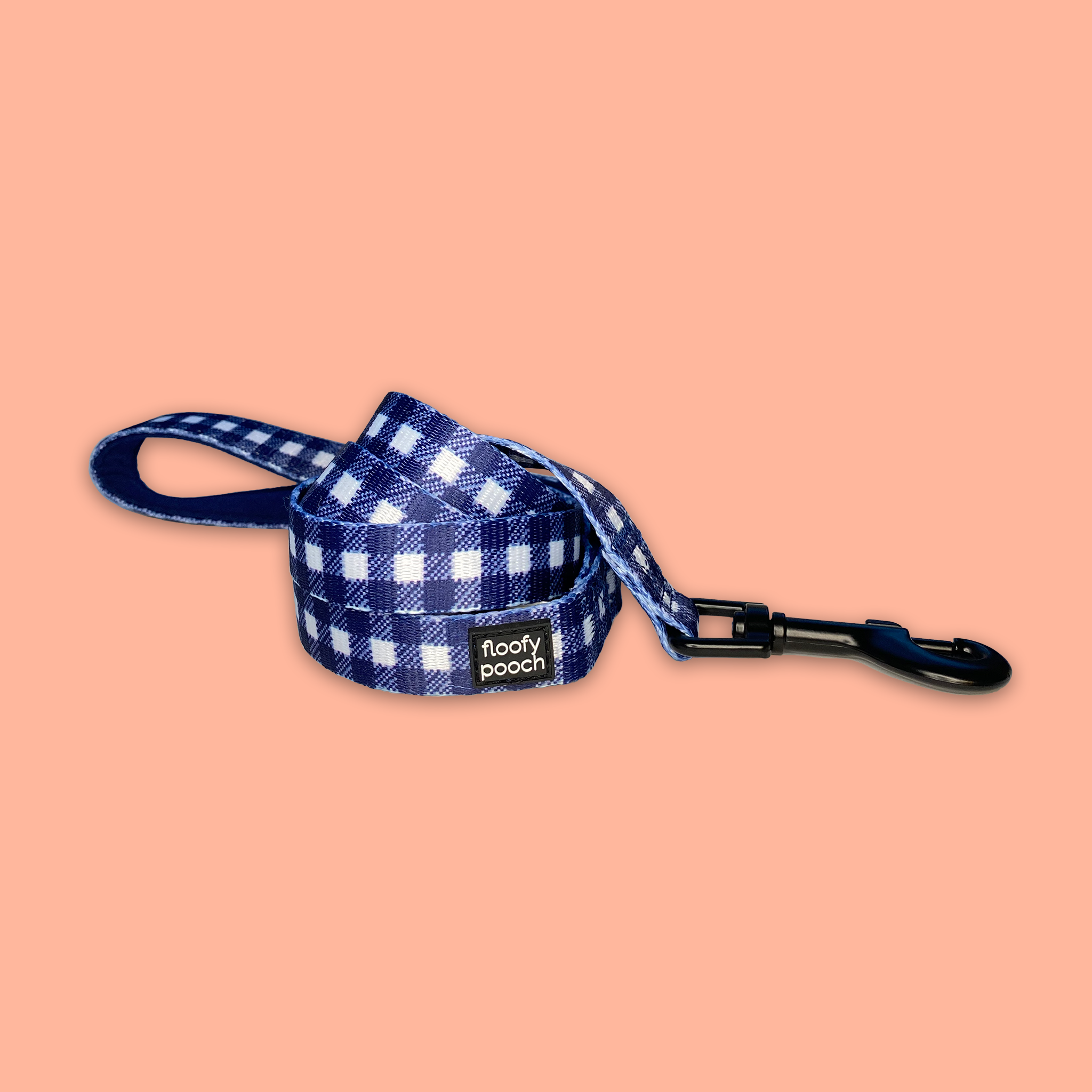 blue gingham leash designed in Canada floofy pooch