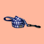 blue gingham leash designed in Canada floofy pooch