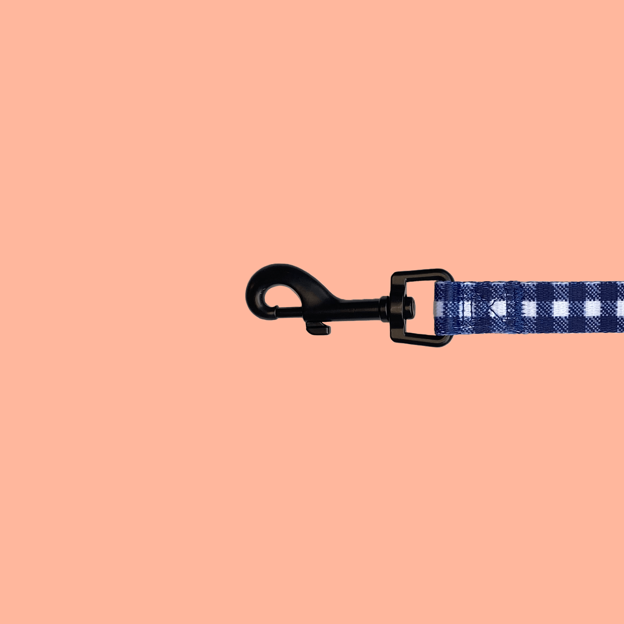 cute blue leash clip designed in canada sturdy