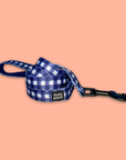 blue gingham leash designed in Canada floofy pooch