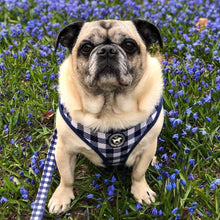 Load image into Gallery viewer, Harness Set - Classy Pooch
