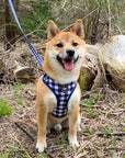 Blue Gingham matching dog set (dog harness & collar canada) floofy pooch