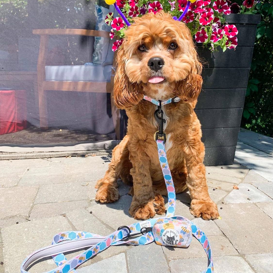 Poop Bag Holder - Bee Amazing