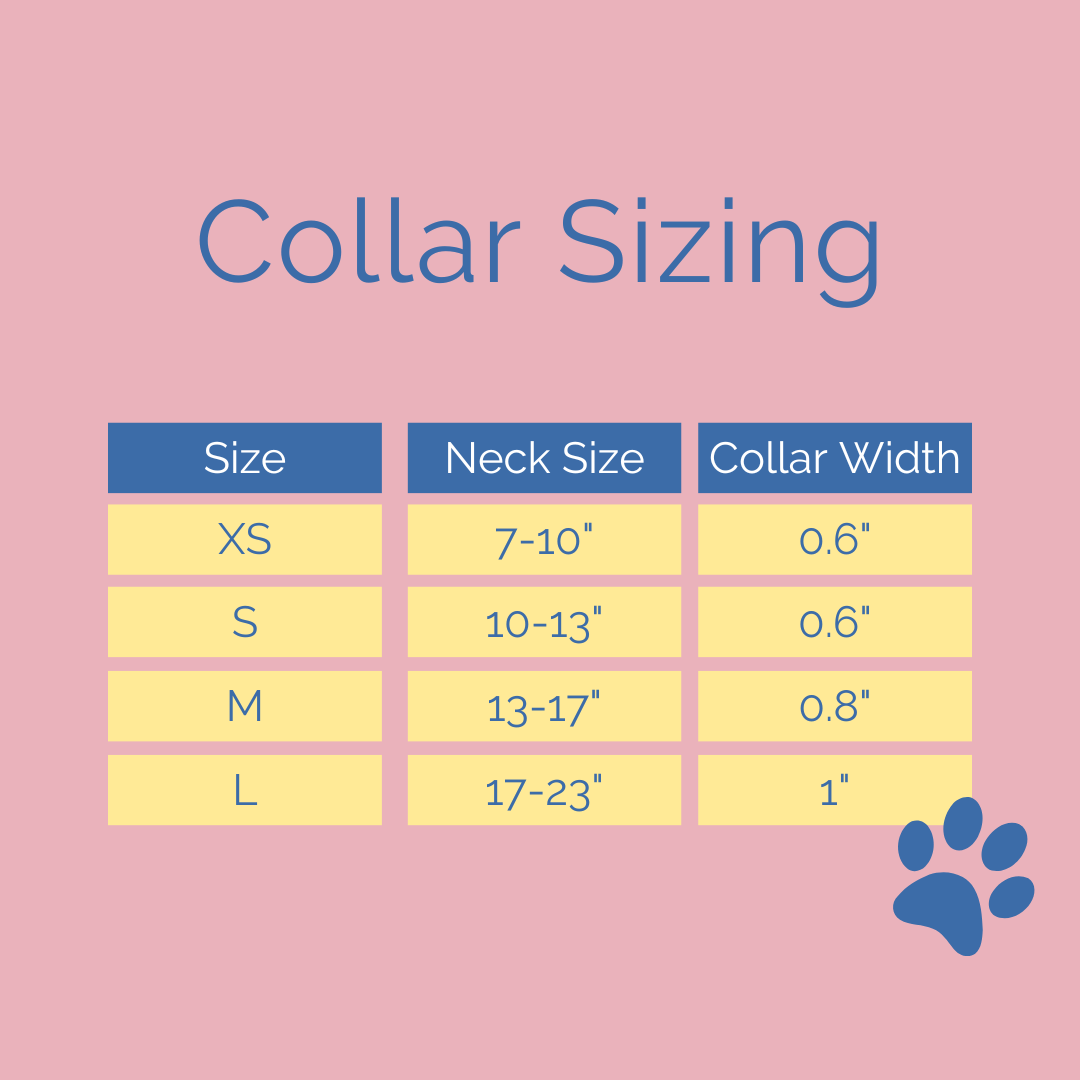 Collar Set - Pretty in Daisy