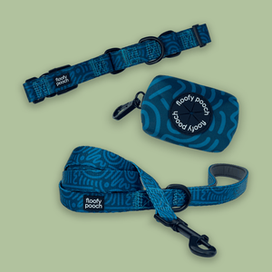 Martingale Collar Set - Twisty Maze
