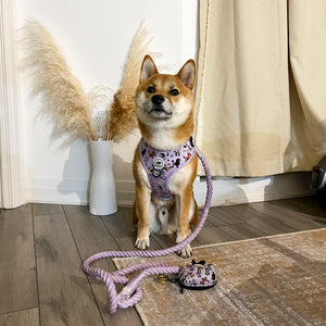 Rope Leash - Plato