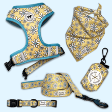 Load image into Gallery viewer, Dog accessories canada yellow daisies pattern dog leash dog collar canada
