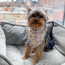 Load image into Gallery viewer, Dog Bandana Canada Cute Yorkie Outfit
