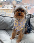 Dog Bandana Canada Cute Yorkie Outfit