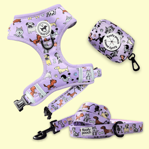Harness Set - Dog Doodlez