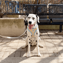 Load image into Gallery viewer, Cute Dog Harness and Leash Dalmatians Yellow Daisy Pattern Canada
