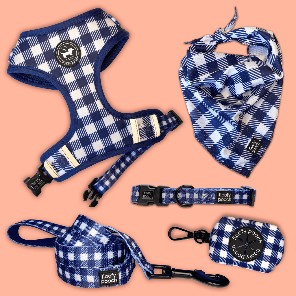 Floofy Pooch Classy Pooch Bundle | Harness, Leash & More!