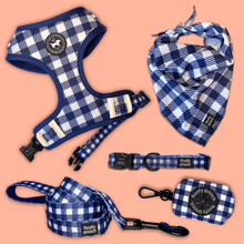 Load image into Gallery viewer, Dog accessories canada blue gingham pattern dog leash dog collar canada
