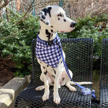 Load image into Gallery viewer, dalmatian wearing bandana collar leash and poop bag holder blue gingham cute pattern
