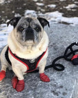 Poop Bag Holder - Sporty Pooch