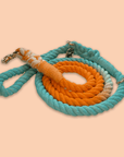 Colorful Rope Leash in Canada