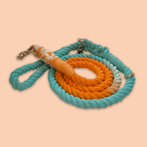 Colorful Rope Leash in Canada