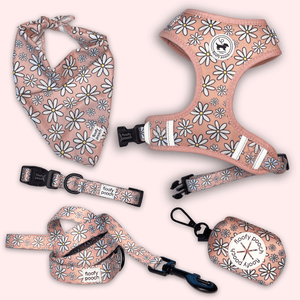 Dog accessories canada pink daisies pattern floofy pooch