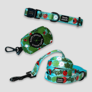 Collar Set - Ladybug Forest