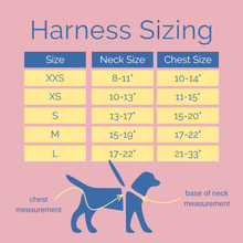 Load image into Gallery viewer, Harness - Classy Pooch
