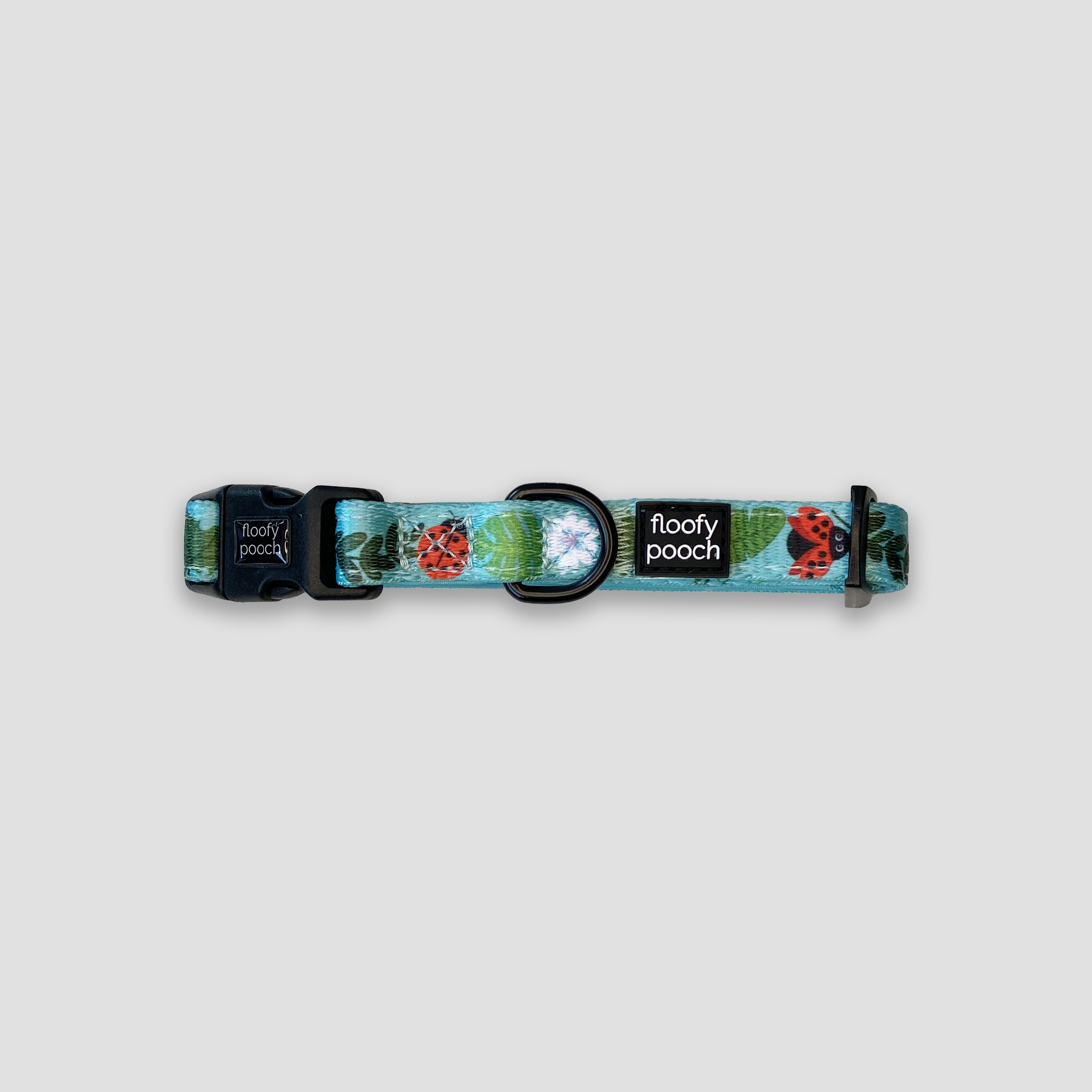 Dog Collar Canada